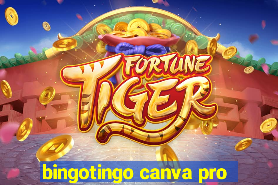 bingotingo canva pro